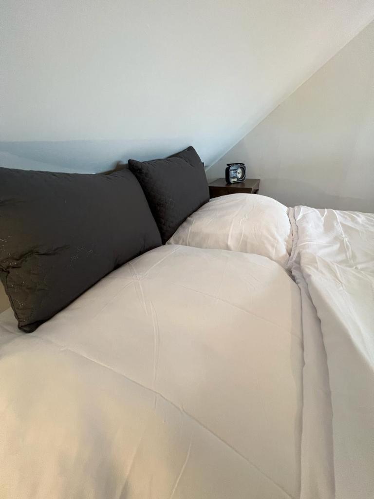 Unique Oldtown Apartment / Loft Nuremberg Extérieur photo